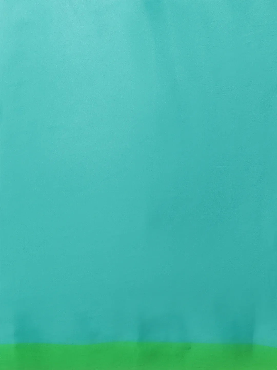 Emerald Silk Chiffon Saree with Nature-Inspired Prints